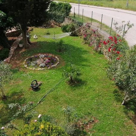 Oasis L&d Pula