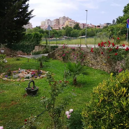Oasis L&d Pula