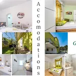 Oasis L&d Pula